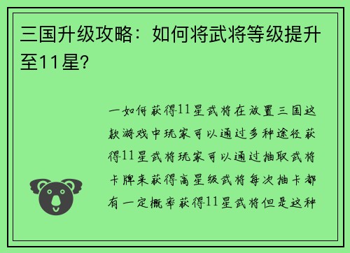 三国升级攻略：如何将武将等级提升至11星？